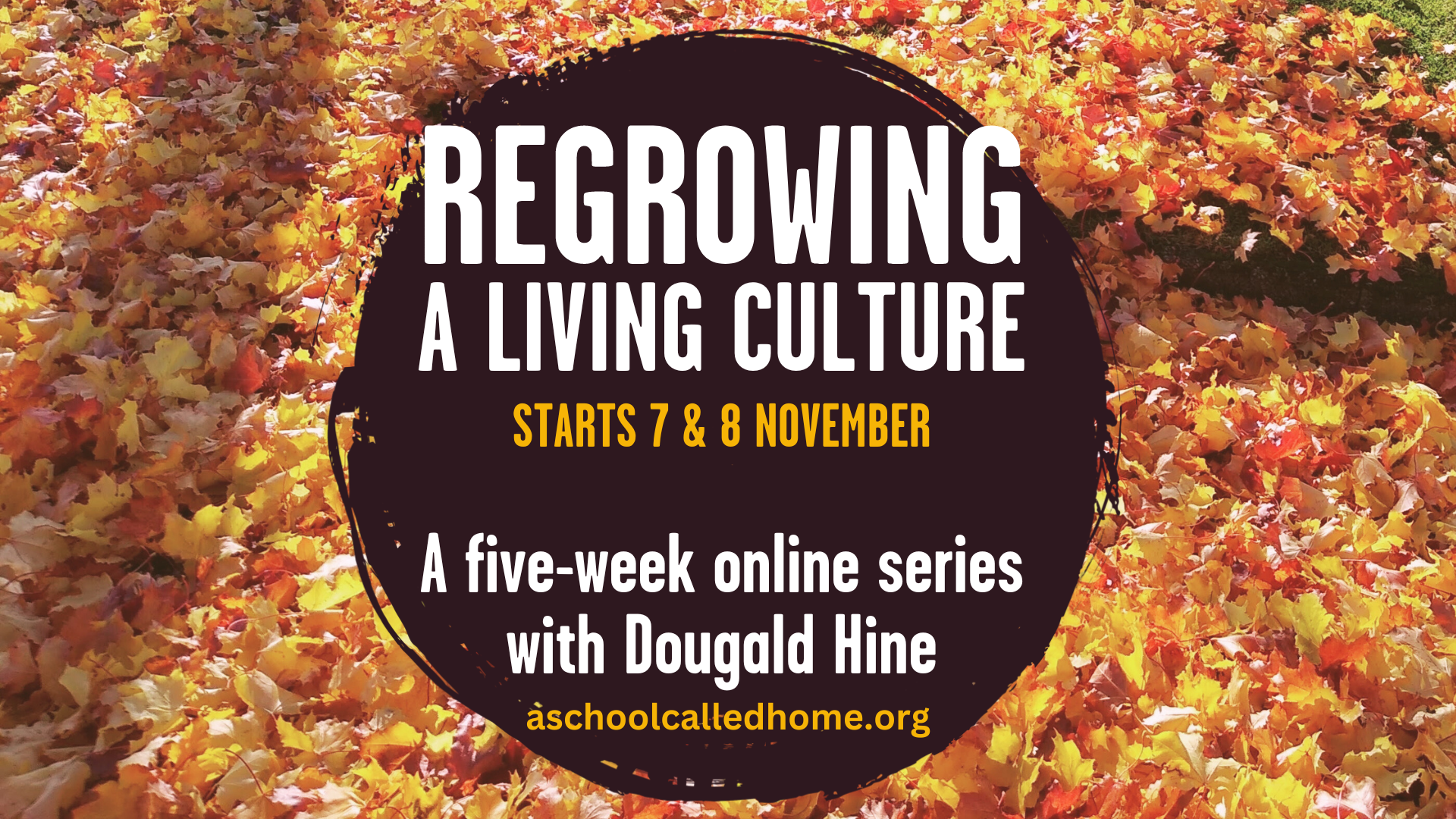 Regrowing a Living Culture – Starts 7 & 8 November
A five-week online series with Dougald Hine
aschoolcalledhome.org